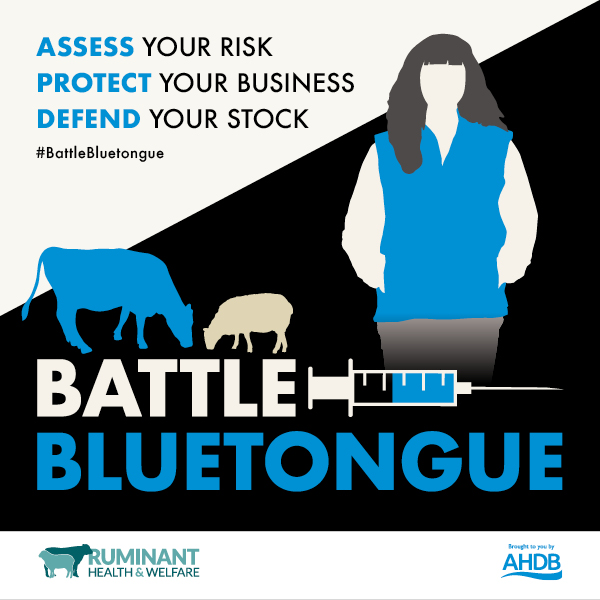 BTV-3-BattleBluetongue-campaign_thumbnail_Feb-25.jpg