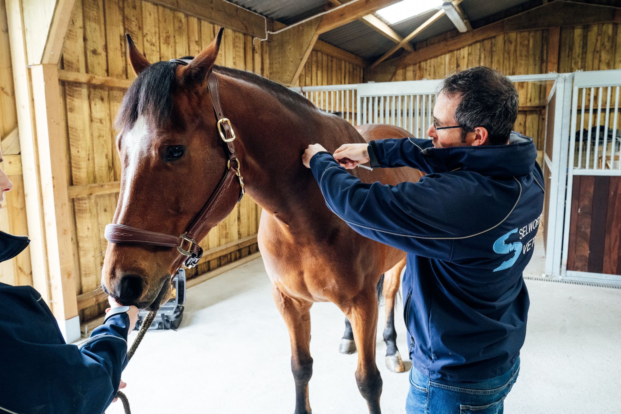 Selworthy Vets